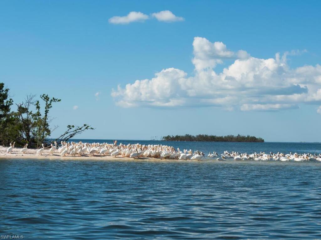 Marina Getaway On The Water! Appartement North North Naples Buitenkant foto