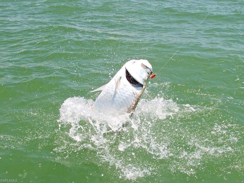 Marina Getaway On The Water! Appartement North North Naples Buitenkant foto